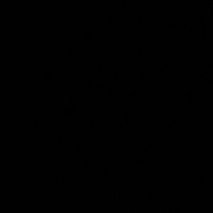 Meet your Posher, Jocelyn